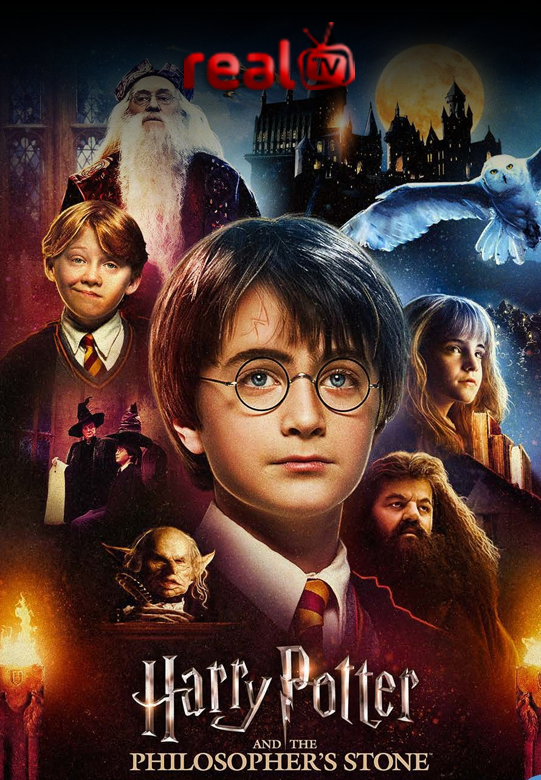 Harry Potther 20th Anniversary